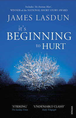 It's Beginning To Hurt by James Lasdun image