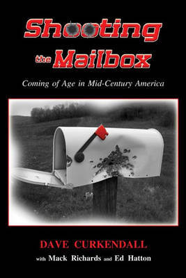 SHOOTING THE MAILBOX by Dave Curkendall image