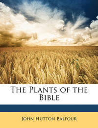 anatomy in the bible essay anatomy in the bible essay