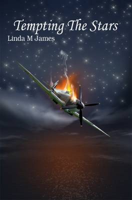 Tempting The Stars by Linda M. James image