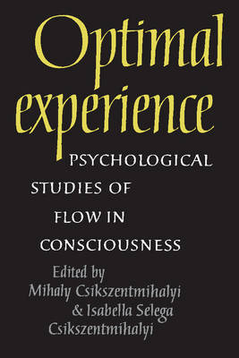 Optimal Experience image
