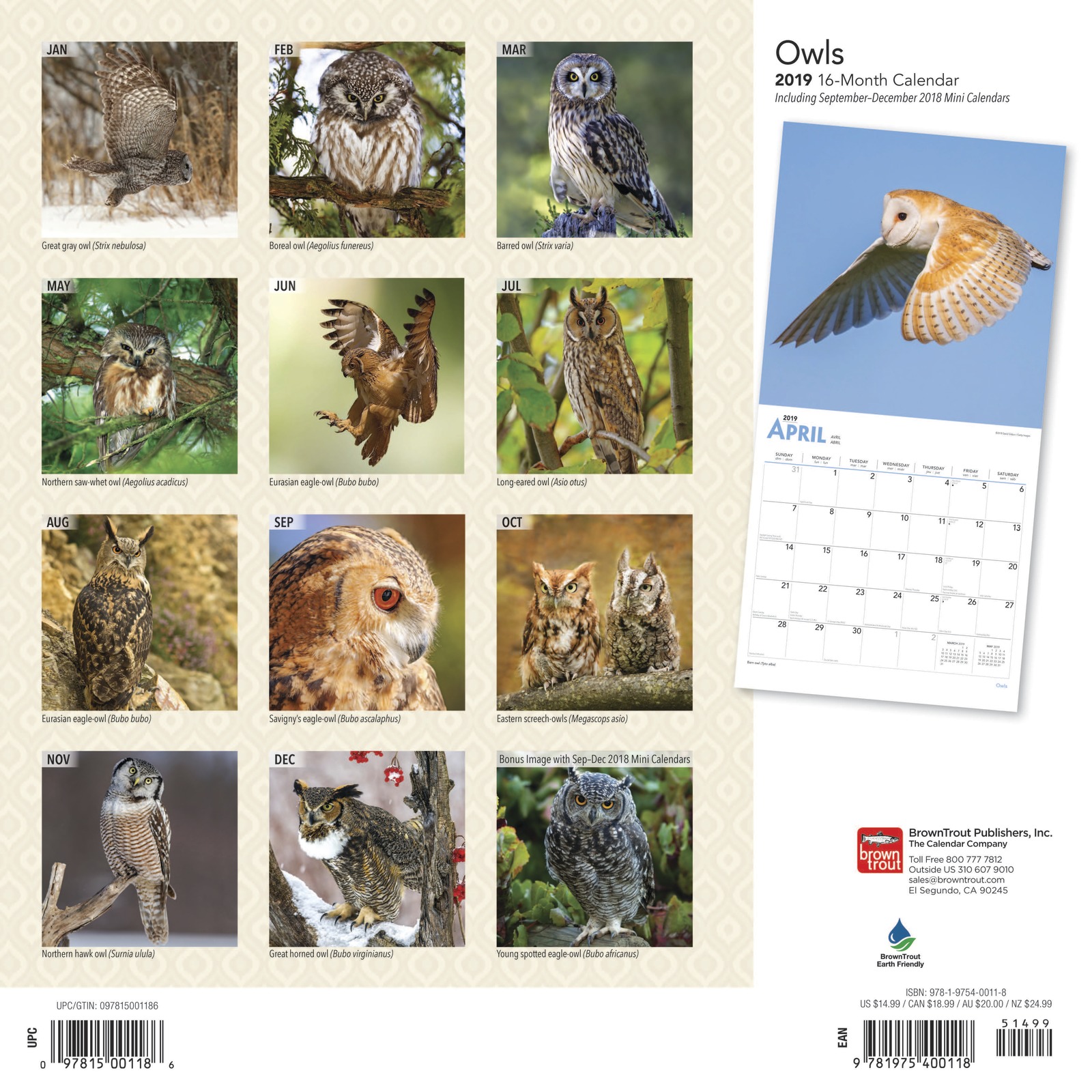 Owls 2019 Square Wall Calendar by Inc Browntrout Publishers image