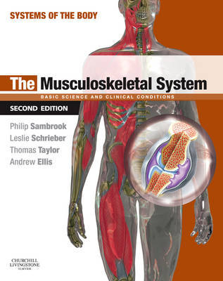 The Musculoskeletal System image