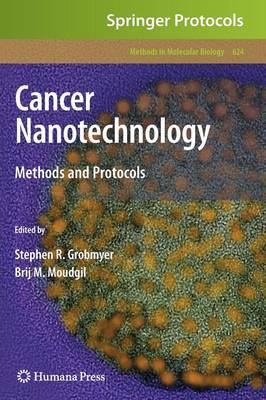 Cancer Nanotechnology on Hardback