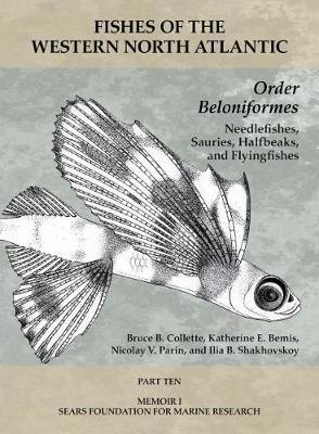 Order Beloniformes - Needlefishes, Sauries, Halfb - Part 10 by Thomas J Near image
