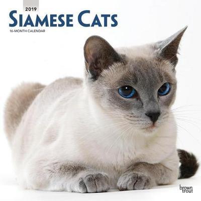 Siamese Cats 2019 Square Wall Calendar image