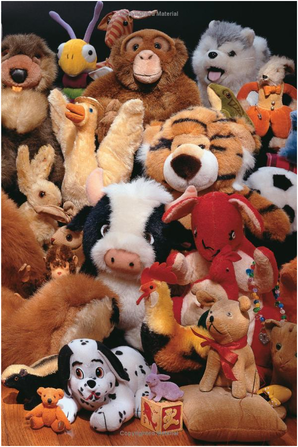 Can You See What I See? Level 1 Animals Walter Wick Book Buy Now at Mighty Ape NZ