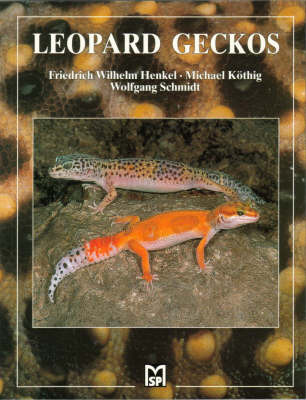 Leopard Geckos by Friedrich-Wilhelm Henkel