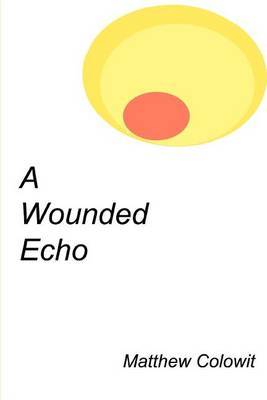 A Wounded Echo by Matthew Colowit image