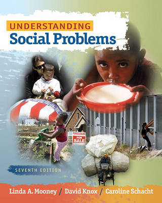 Understanding Social Problems by Linda A Mooney image