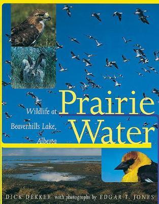 Prairie Water by Dick Dekker image
