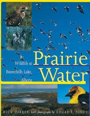 Prairie Water image