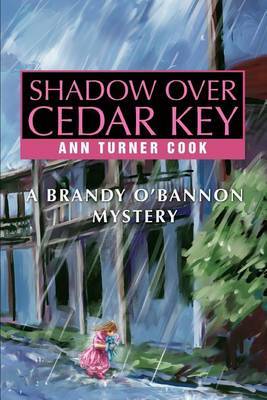 Shadow Over Cedar Key: A Brandy O'Bannon Mystery by Ann Turner Cook image
