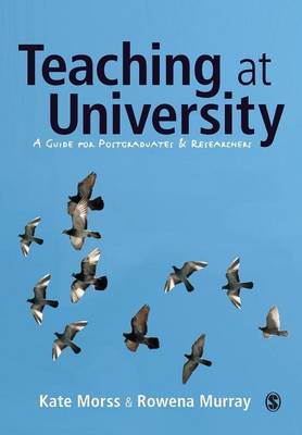 Teaching at University by Kate Morss image