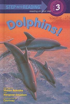 Dolphins! by Sharon Bokoske image