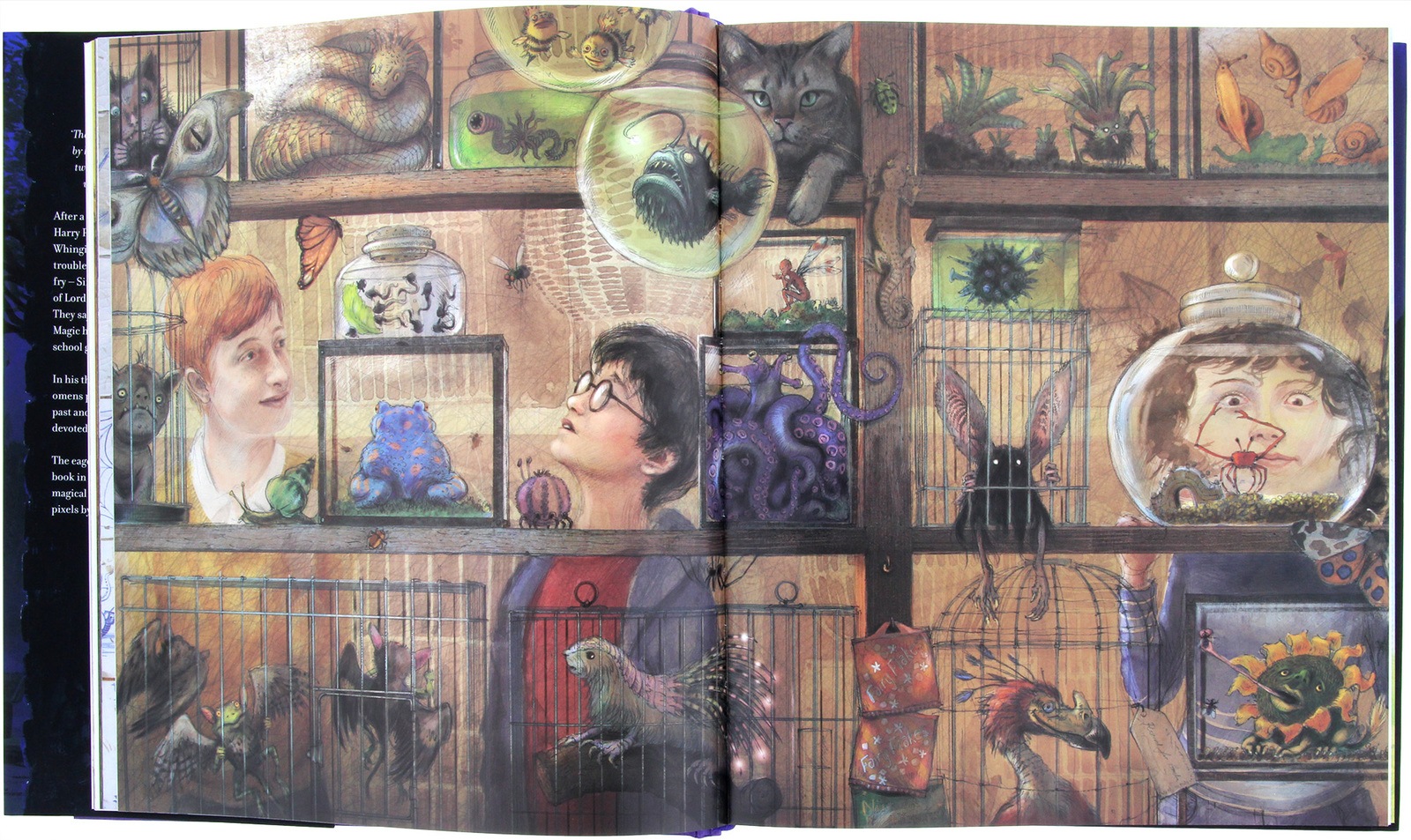 Harry Potter and the Prisoner of Azkaban: Illustrated Edition image