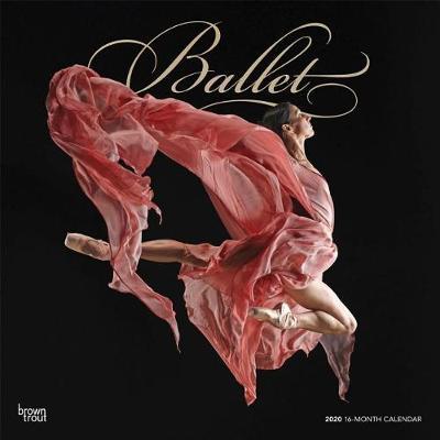 Ballet 2020 Square Foil Wall Calendar image