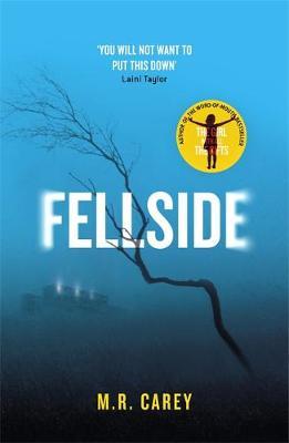 Fellside by M R Carey image