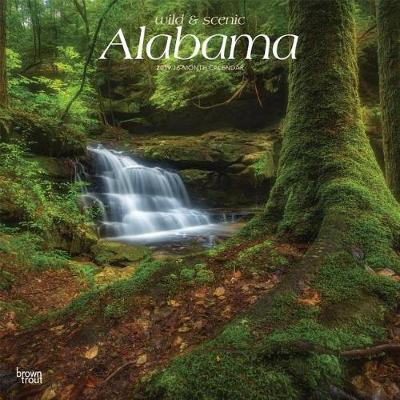 Alabama Wild & Scenic 2019 Square by Inc Browntrout Publishers image