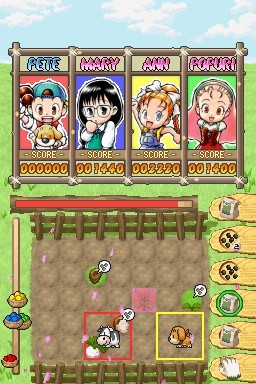Puzzle de Harvest Moon for Nintendo DS image