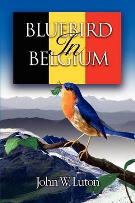 Bluebird in Belgium by John W. Luton image