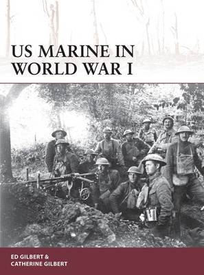 US Marine in World War I by Ed Gilbert image