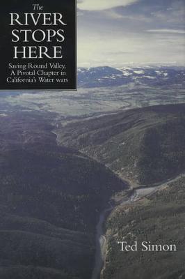 The River Stops Here by Ted Simon image