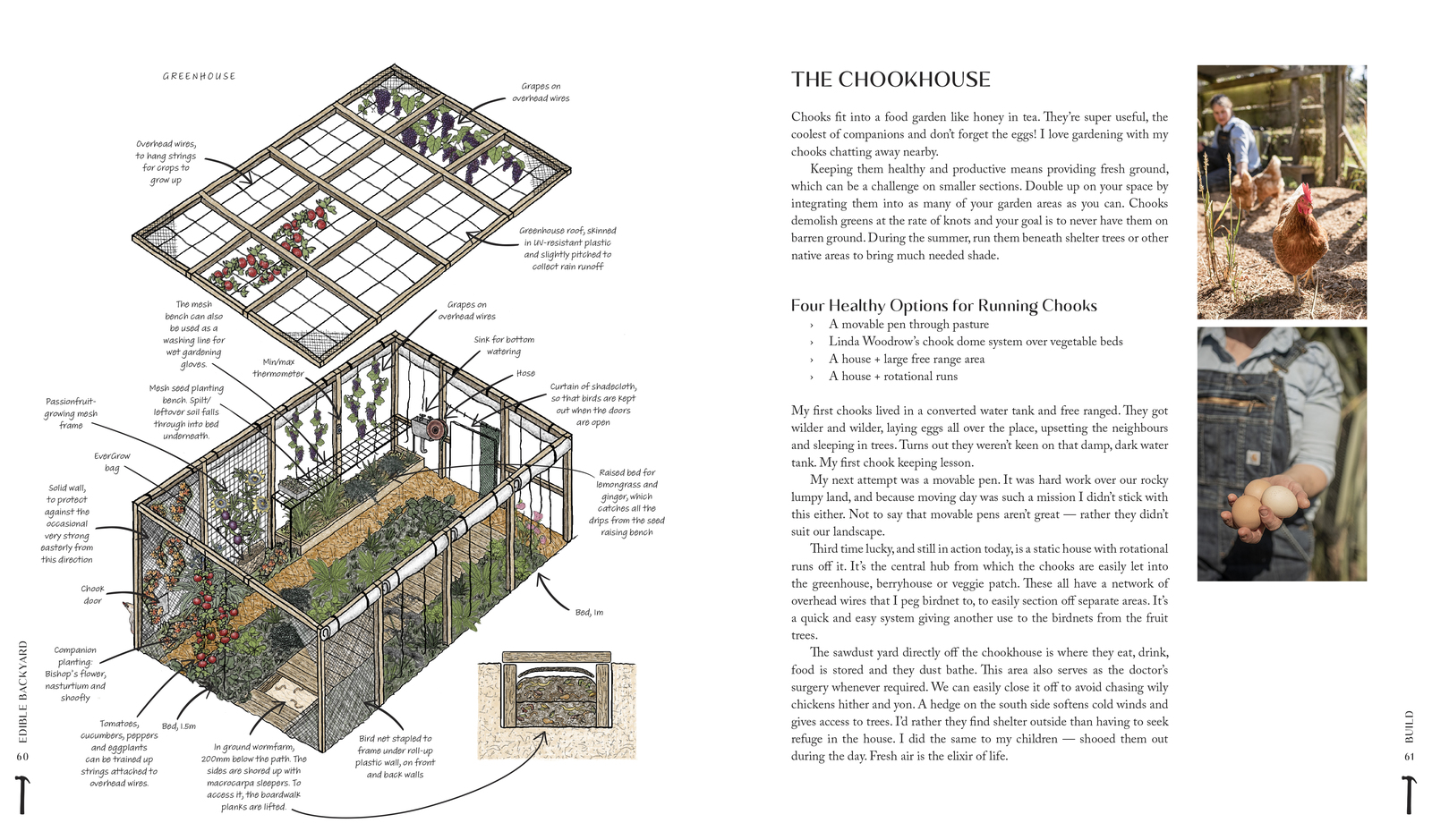 The Edible Backyard by Kath Irvine