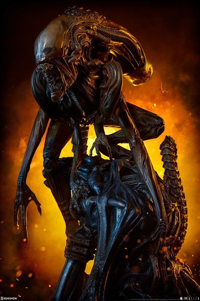 Xenomorph Warrior - 18" Maquette Statue image