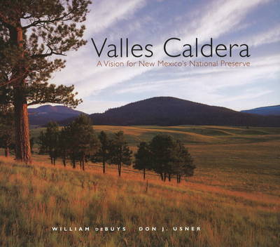 Valles Caldera image