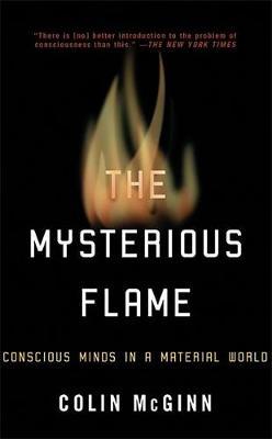 The Mysterious Flame by Colin McGinn image
