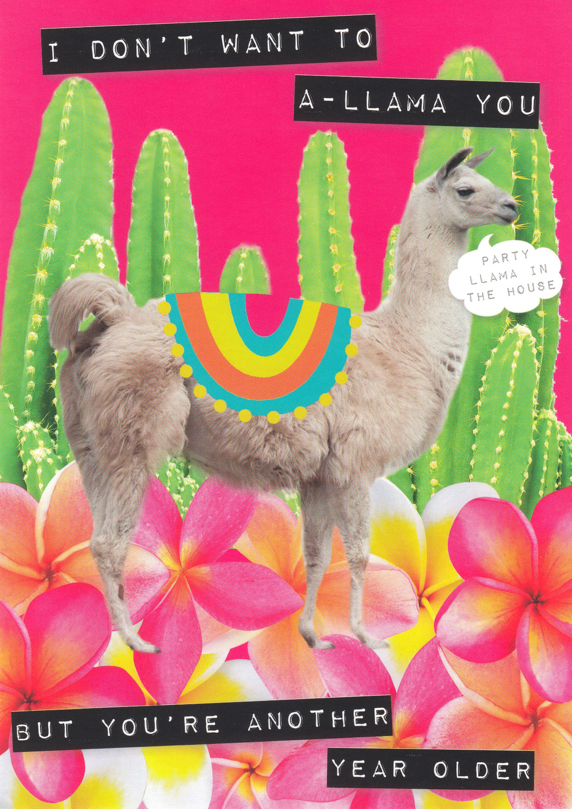 Ticker Tape Greeting Card - A-llama You