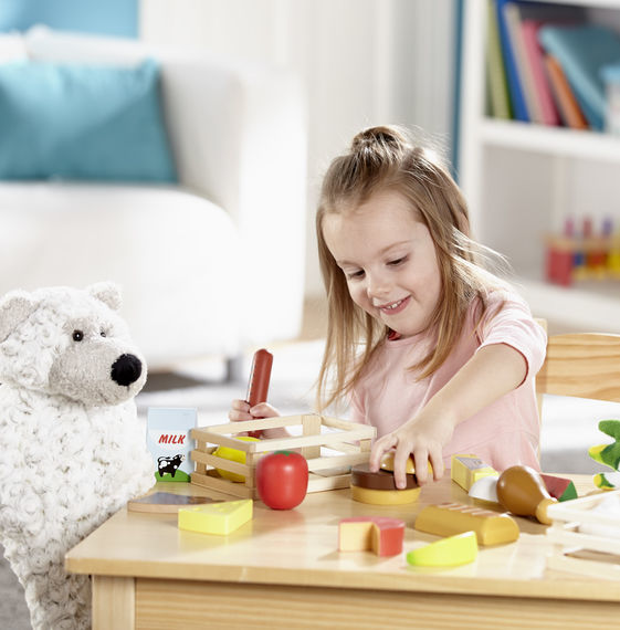 Melissa & Doug: Food Groups Set Wooden image