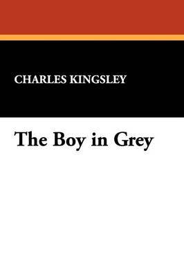 The Boy in Grey image