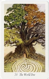 Wildwood Tarot John Matthews Book Buy Now At Mighty Ape Nz