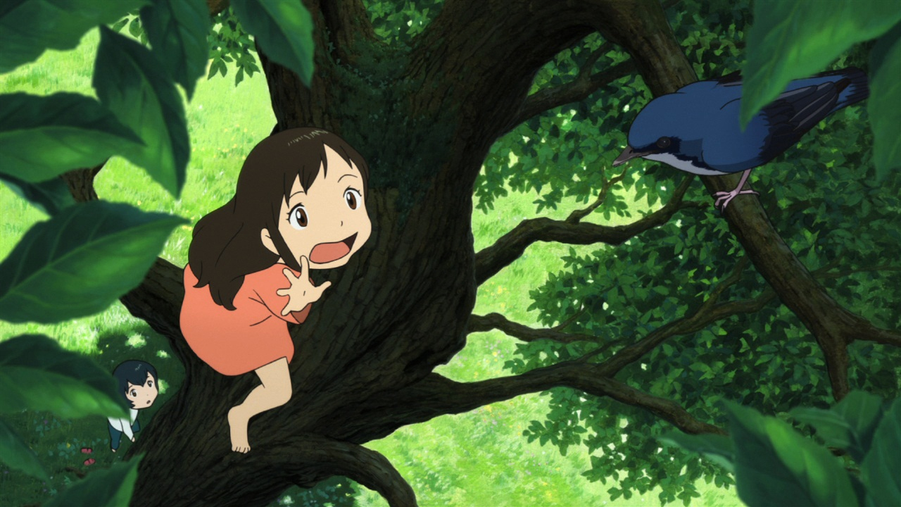 Wolf Children - Special Edition on DVD image