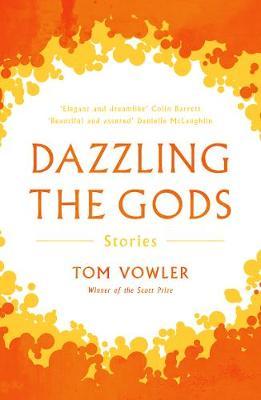 Dazzling the Gods by Tom Vowler image