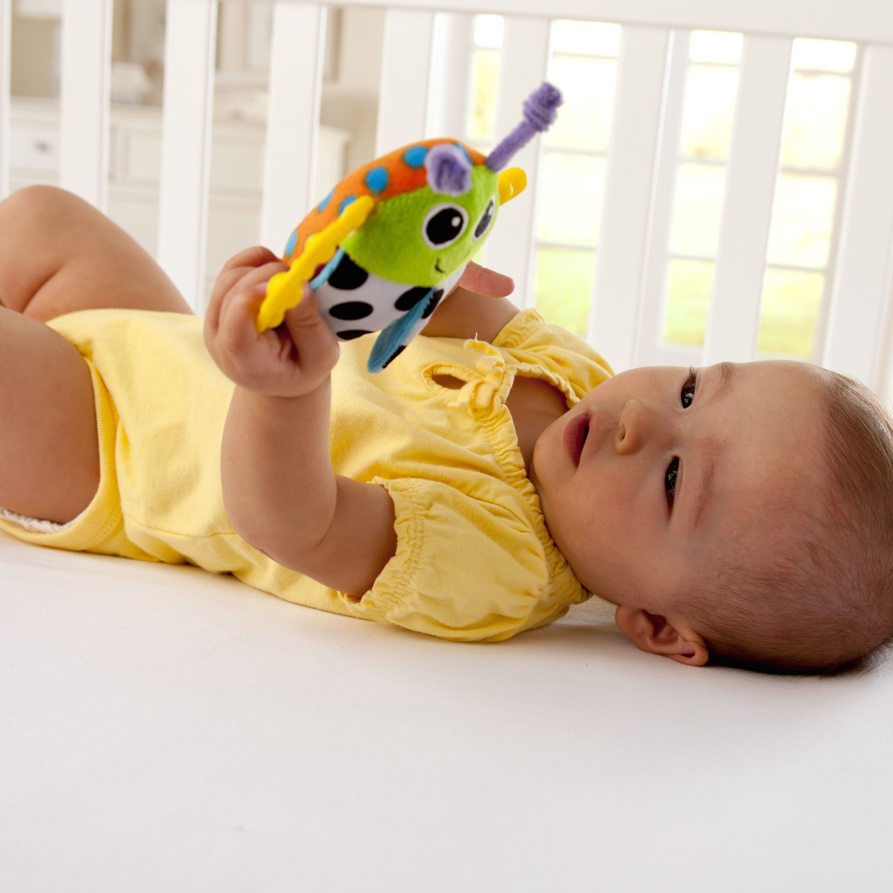 Lamaze: Bitty Bite Bug Rattle image