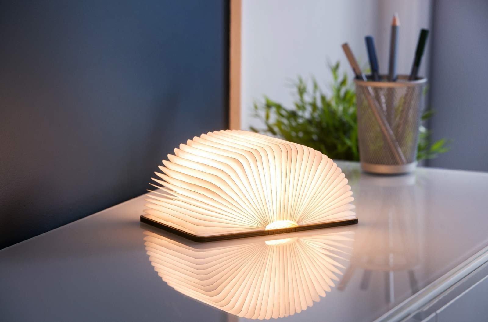 Walnut Mini Smart Led Light Book image
