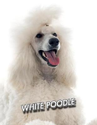 White Poodle by Notebooks Journals Xlpress image