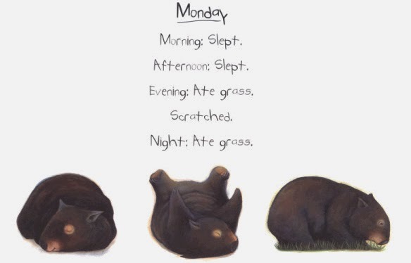 Diary of a Wombat by Jackie French image