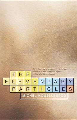 The Elementary Particles by Houellebecq Michel image