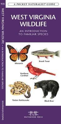 West Virginia Wildlife: An Introduction to Familiar Species by Senior Consultant James Kavanagh (Senior Consultant, Oxera Oxera Oxera) image