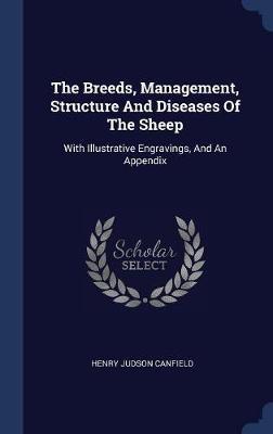 The Breeds, Management, Structure and Diseases of the Sheep by Henry Judson Canfield image