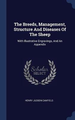 The Breeds, Management, Structure and Diseases of the Sheep image