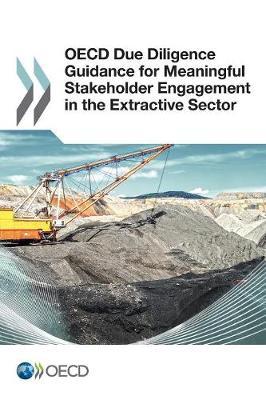 OECD due diligence guidance for meaningful stakeholder engagement in the extractive sector by Organisation for Economic Co-operation and Development image