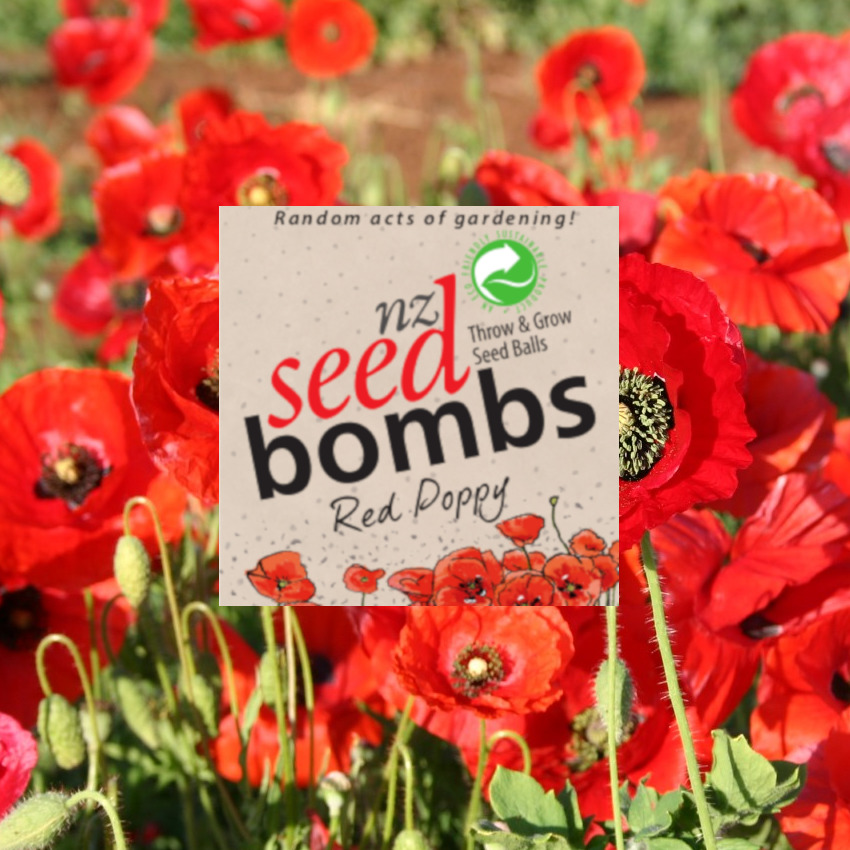 NZ Seed Bombs at Mighty Ape NZ