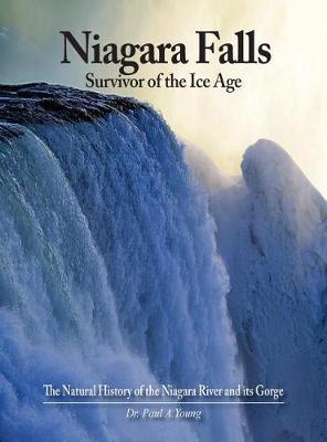 Niagara Falls by Paul A Young image