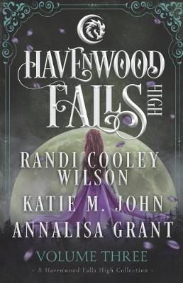 Havenwood Falls High Volume Three by Randi Cooley Wilson image
