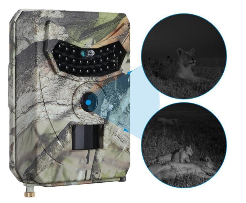 1080P Waterproof Night Vision Wildlife Camera at Mighty Ape NZ